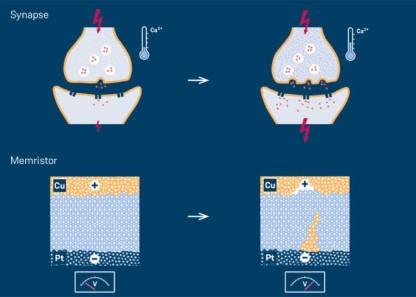 synapse-versus-memristor-function-750x536.jpg